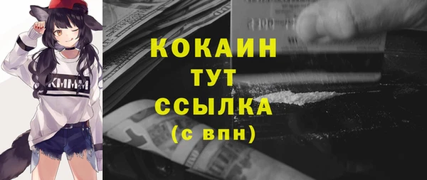 дмт Арсеньев