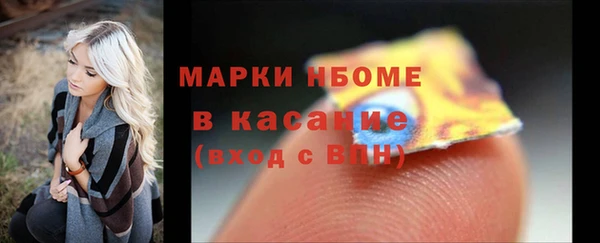 стаф Анива