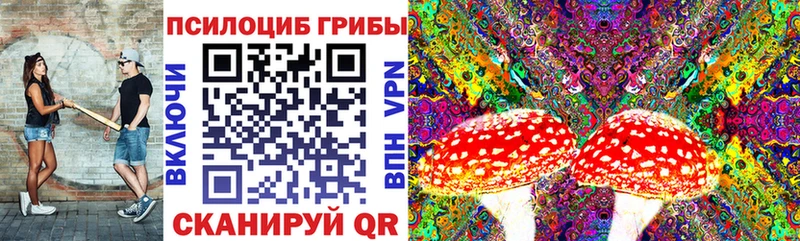 Галлюциногенные грибы GOLDEN TEACHER  закладка  Новоалександровск 