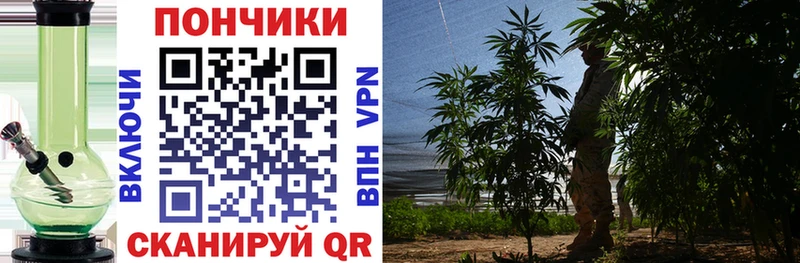 дарнет шоп  Новоалександровск  Бошки марихуана ГИДРОПОН 